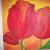 Tulpen 50x50 von rosanna-bormani