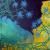 die blaue Blume von KK