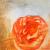 Rose von branoli