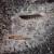 Bussard / Scrimshaw von THS