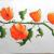 Lampionblumen von