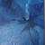 blue von Ze´
