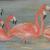 Flamingos von