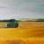 Sommerlandschaft von