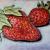 Erdbeeren von Brigitte W