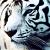 Weisser Tiger von MonRo