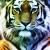 Tiger von MonRo
