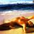 Strand von MonRo