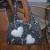 Tasche von
