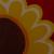Blume von