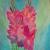 Gladiole von Coch-Lea