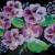 Blumen - Flower arrangement von SMc