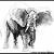 Tuschebild Elefant von