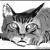 Tuschebild Katze von