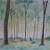 Im Wald von steppenwolf