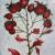 Winterrose von
