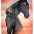 FuryAirbrush.Dezember2012.jpg von airbrushportraits