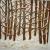 Winterwald von Ninamo