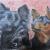 Mischlinge Tica und Filou von