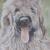 Briard Victor von