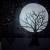 Vollmond von Thomas Fischer
