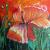 Mohn von Brigitte W