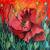 Mohn von Brigitte W