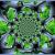 Papageienliebe Kaleidoskop 3 von Christina W.-N / cwn
