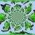 Papageienliebe Kaleidoskop 2 von Christina W.-N / cwn