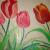 Tulpen von Ellen-Kolibri