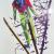"Skispringer" von Melinda Munoz-Huerzeler