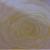 Creme/Gelbe Rose von E.S.
