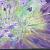 Violett Dreams von