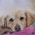 Luca von Tina`s Portrait Art