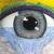 Augen Meer von Tina`s Portrait Art