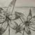 Blume von