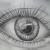 Das Auge von