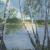 Birken am See von PeGeArt