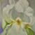 ORCHIDEE I von TetitlaPetite