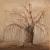 Der alte Baum im Winter von