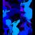 Blaue Schneerosen von isArt
