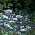 Wiesenrain von GH