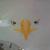 Airbrush Adler von S.F.