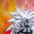 dragonball von the eyes