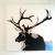 Deer Pop von