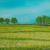 Acrylgemälde, Rapsfeld 80x60 von