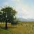 Baum von Kubo