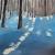 Wintersun von