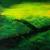 Wege ins Licht von
