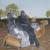 Taking it easy von Mikassio